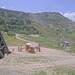 Cliquez pour agrandir l'image de la Webcam trio-pyrenees.com/20250610132403181.jpg