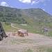Cliquez pour agrandir l'image de la Webcam trio-pyrenees.com/20250611132401755.jpg