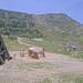 Cliquez pour agrandir l'image de la Webcam trio-pyrenees.com/20250612132151991.jpg