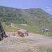 Cliquez pour agrandir l'image de la Webcam trio-pyrenees.com/20250613132150741.jpg