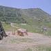 Cliquez pour agrandir l'image de la Webcam trio-pyrenees.com/20250614132149845.jpg
