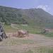 Cliquez pour agrandir l'image de la Webcam trio-pyrenees.com/20250614172151771.jpg