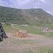 Cliquez pour agrandir l'image de la Webcam trio-pyrenees.com/20250615082153474.jpg