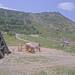 Cliquez pour agrandir l'image de la Webcam trio-pyrenees.com/20250615132152656.jpg