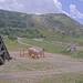 Cliquez pour agrandir l'image de la Webcam trio-pyrenees.com/20250623132157107.jpg