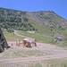 Cliquez pour agrandir l'image de la Webcam trio-pyrenees.com/20250628132151791.jpg