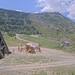 Cliquez pour agrandir l'image de la Webcam trio-pyrenees.com/20250629132152653.jpg
