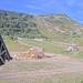 Cliquez pour agrandir l'image de la Webcam trio-pyrenees.com/20250630082151761.jpg