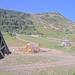 Cliquez pour agrandir l'image de la Webcam trio-pyrenees.com/20250701082153463.jpg