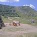 Cliquez pour agrandir l'image de la Webcam trio-pyrenees.com/20250701132152819.jpg