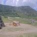 Cliquez pour agrandir l'image de la Webcam trio-pyrenees.com/20250702132149596.jpg
