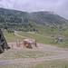 Cliquez pour agrandir l'image de la Webcam trio-pyrenees.com/20250707132156912.jpg