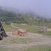 Cliquez pour agrandir l'image de la Webcam trio-pyrenees.com/20250707172150590.jpg