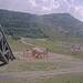 Cliquez pour agrandir l'image de la Webcam trio-pyrenees.com/20250713172154636.jpg