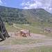 Cliquez pour agrandir l'image de la Webcam trio-pyrenees.com/20250714132155560.jpg