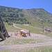 Cliquez pour agrandir l'image de la Webcam trio-pyrenees.com/20250716132155632.jpg