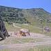 Cliquez pour agrandir l'image de la Webcam trio-pyrenees.com/20250717132152460.jpg