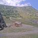 Cliquez pour agrandir l'image de la Webcam trio-pyrenees.com/20250729132154573.jpg