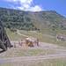 Cliquez pour agrandir l'image de la Webcam trio-pyrenees.com/20250730132158274.jpg