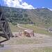 Cliquez pour agrandir l'image de la Webcam trio-pyrenees.com/20250731132154777.jpg