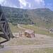 Cliquez pour agrandir l'image de la Webcam trio-pyrenees.com/20250801132154232.jpg