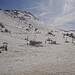 Cliquez pour agrandir l'image de la Webcam trio-pyrenees.com/20260417172207004.jpg