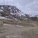 Cliquez pour agrandir l'image de la Webcam trio-pyrenees.com/20260506132207460.jpg