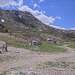 Cliquez pour agrandir l'image de la Webcam trio-pyrenees.com/20260523132204531.jpg