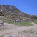 Cliquez pour agrandir l'image de la Webcam trio-pyrenees.com/20260524132206829.jpg
