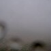 Cliquez pour agrandir l'image de la Webcam trio-pyrenees.com/20260610082159077.jpg