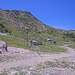 Cliquez pour agrandir l'image de la Webcam trio-pyrenees.com/20260613132202699.jpg