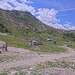 Cliquez pour agrandir l'image de la Webcam trio-pyrenees.com/20260614132203585.jpg