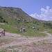 Cliquez pour agrandir l'image de la Webcam trio-pyrenees.com/20260622132203157.jpg