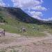 Cliquez pour agrandir l'image de la Webcam trio-pyrenees.com/20260624132202913.jpg