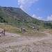 Cliquez pour agrandir l'image de la Webcam trio-pyrenees.com/20260710132201143.jpg