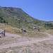 Cliquez pour agrandir l'image de la Webcam trio-pyrenees.com/20260713132204099.jpg