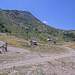 Cliquez pour agrandir l'image de la Webcam trio-pyrenees.com/20260714132208359.jpg