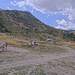 Cliquez pour agrandir l'image de la Webcam trio-pyrenees.com/20260811132202791.jpg