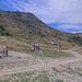 Cliquez pour agrandir l'image de la Webcam trio-pyrenees.com/20260911132204737.jpg